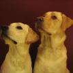Charlie and Sally