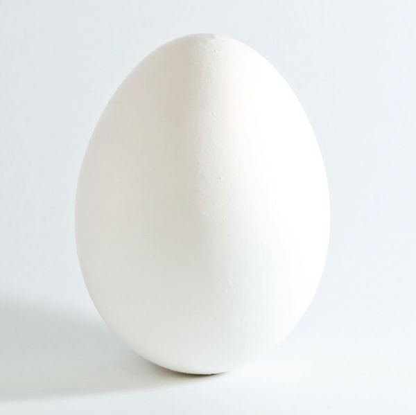 Egg